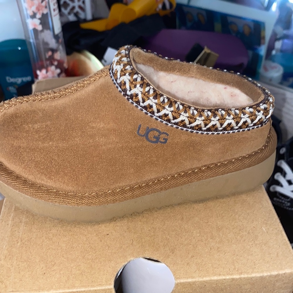 Tasman uggs